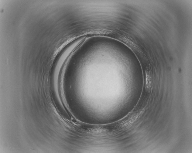 X0000057580348200510071615