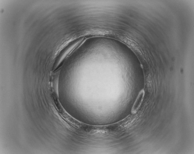 X0000057580352200510071615