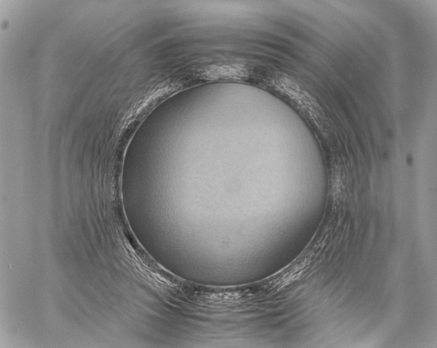 X0000057580353200510071615