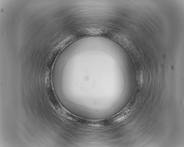 X0000057580360200510071615