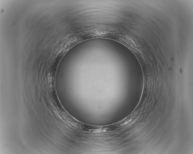 X0000057580366200510071615