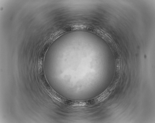 X0000057580369200510071615