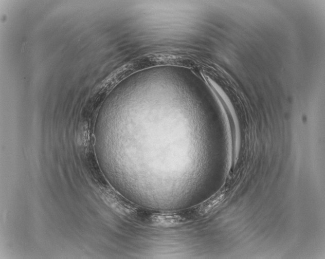 X0000057580372200510071615