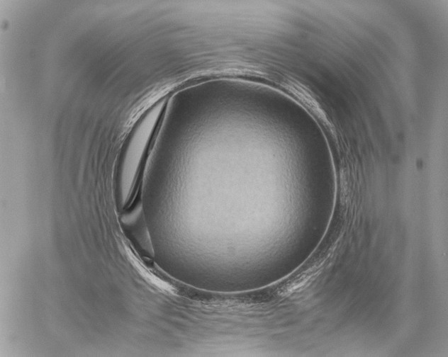X0000057580389200510071615
