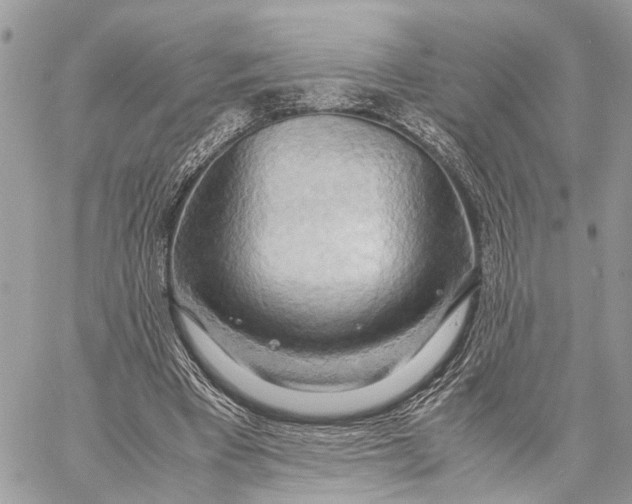 X0000057580393200510071615