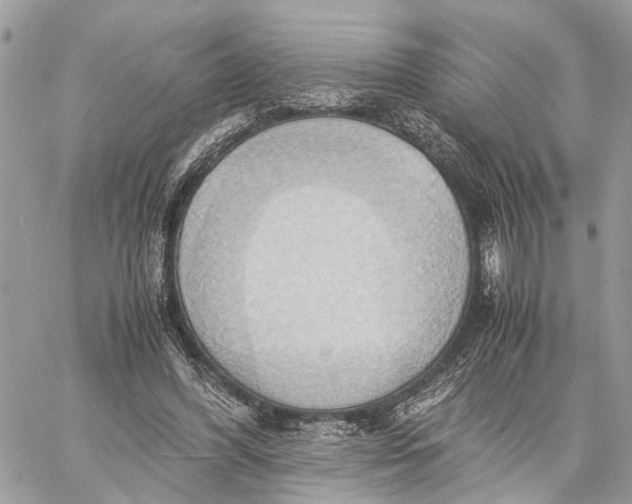 X0000057580396200510071615
