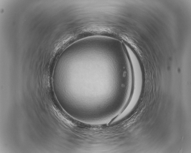 X0000057580399200510071615