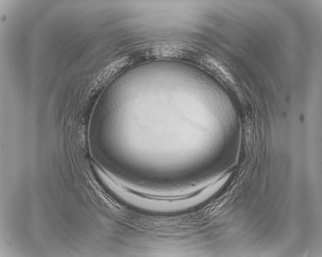 X0000057580401200510071615