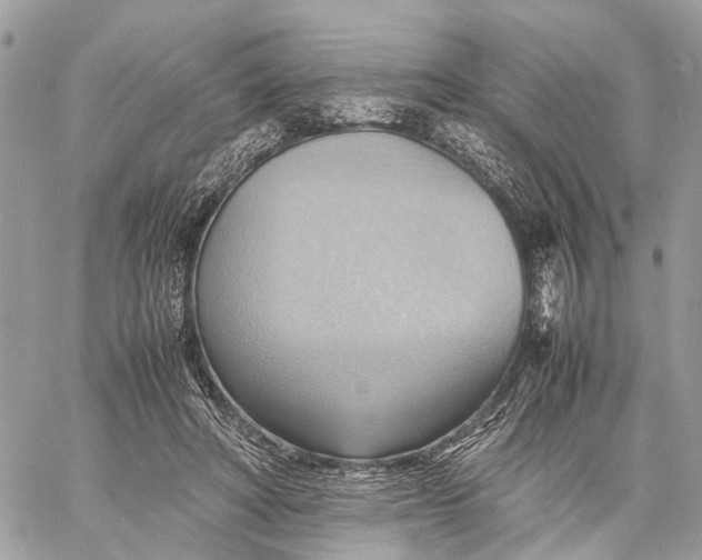X0000057580402200510071615