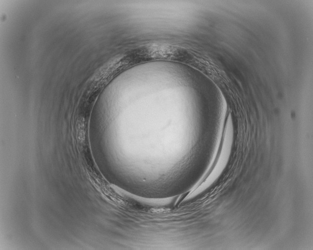 X0000057580413200510071614