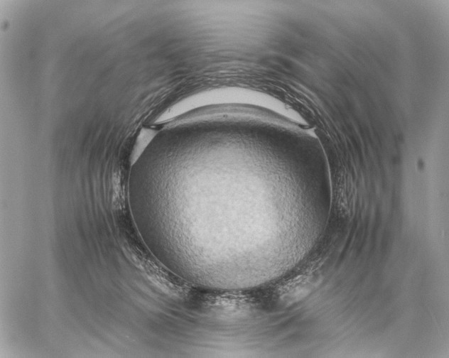 X0000057580420200510071614