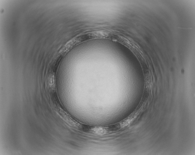 X0000057580425200510071614