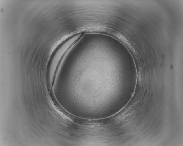 X0000057580438200510071613