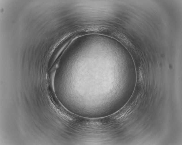 X0000057580444200510071613
