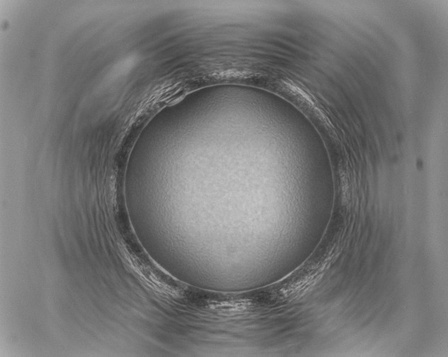 X0000057580447200510071613