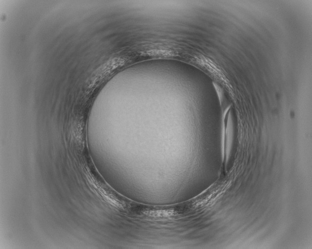 X0000057580449200510071613
