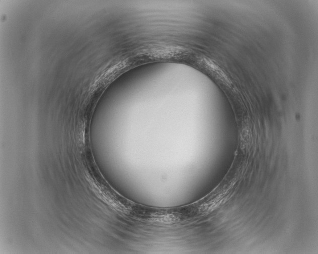 X0000057580454200510071614