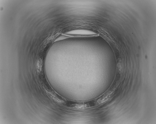 X0000057580458200510071614