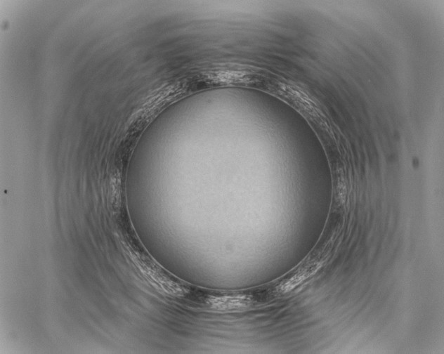X0000057580461200510071614
