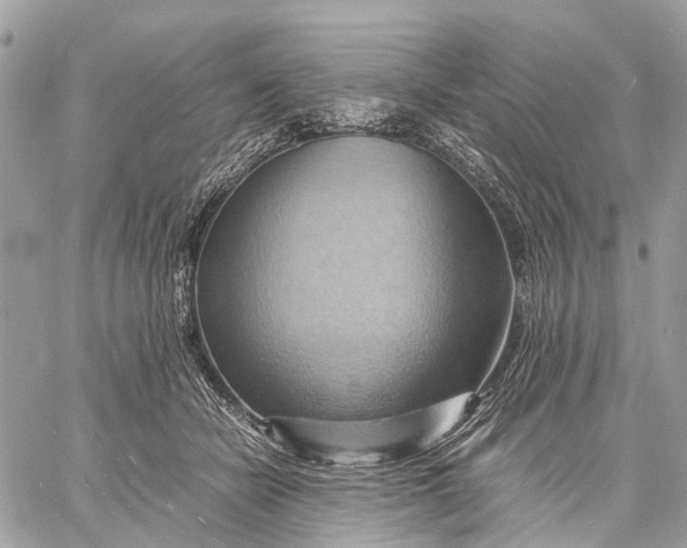X0000057580462200510071614
