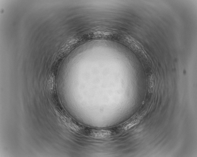 X0000057580463200510071614