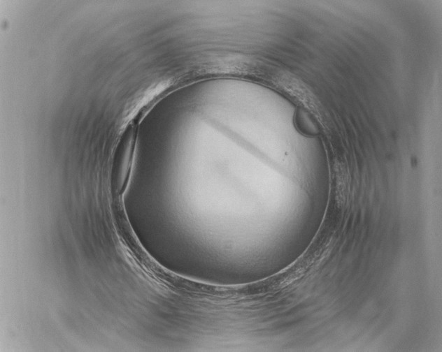 X0000057580482200510071613