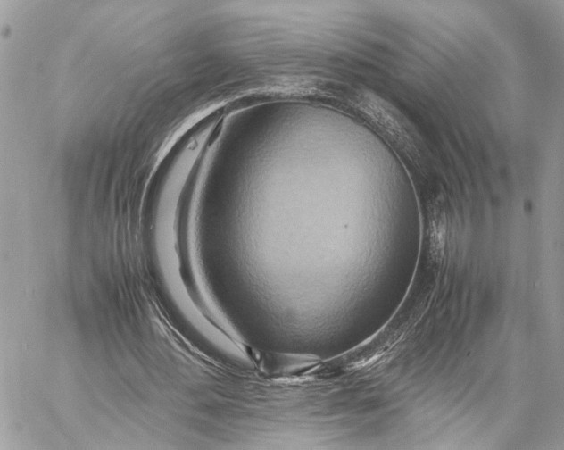 X0000057580484200510071613