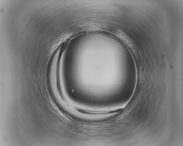 X0000057580485200510071613