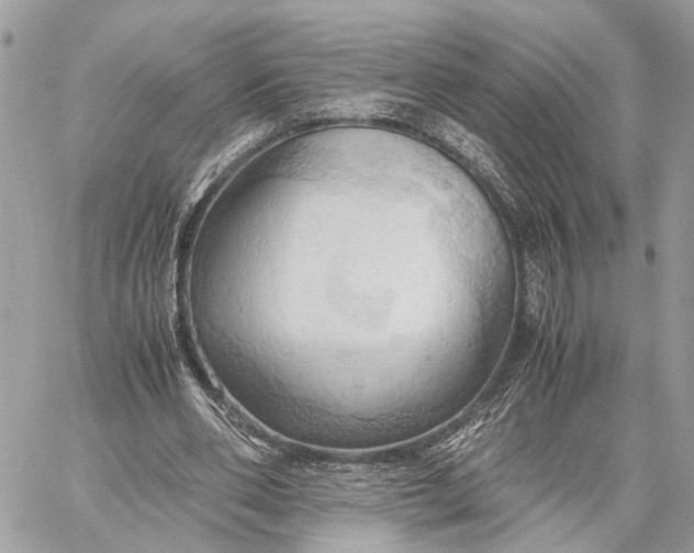X0000057580486200510071613