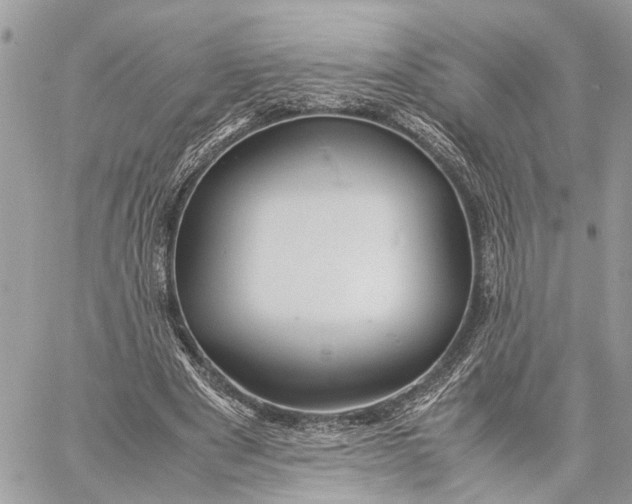 X0000057580489200510071613