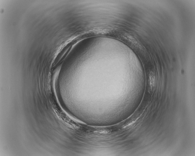 X0000057580492200510071613