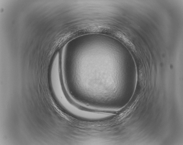 X0000057580493200510071613