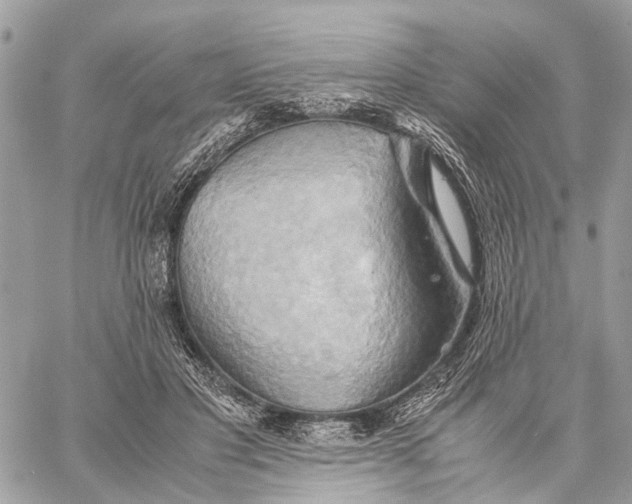 X0000057580501200510071613