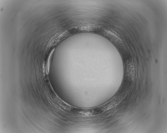 X0000057580502200510071613
