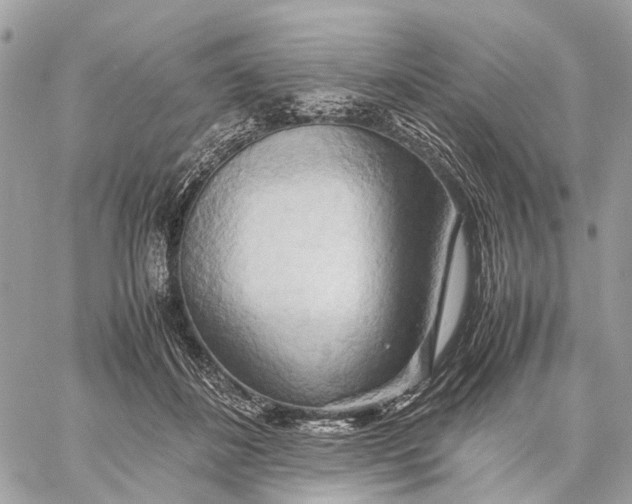 X0000057580508200510071613