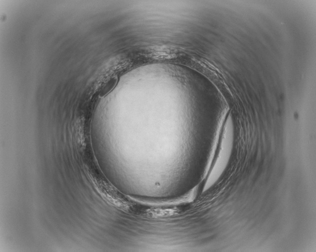 X0000057580512200510071613