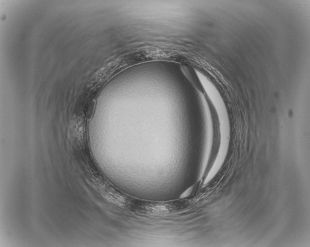 X0000057580513200510071613
