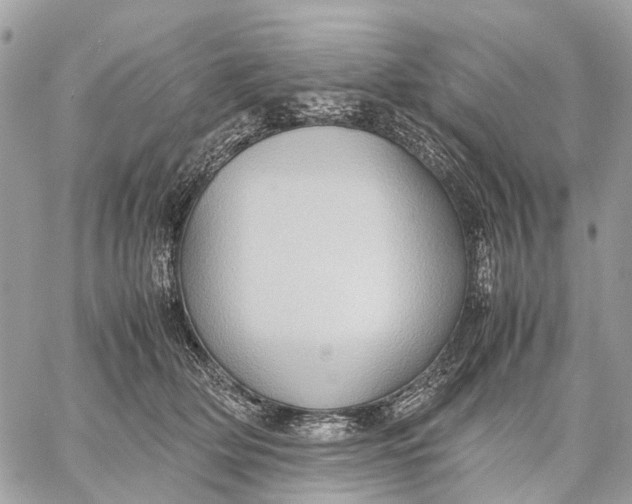 X0000057580514200510071613