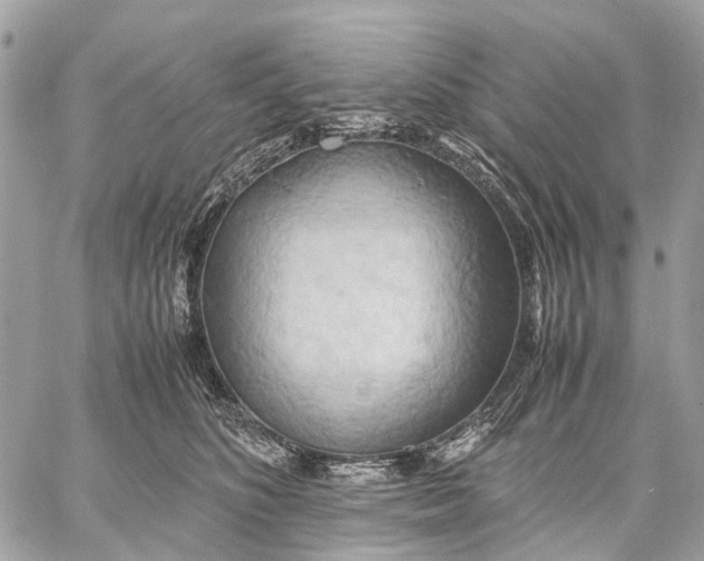 X0000057580516200510071613