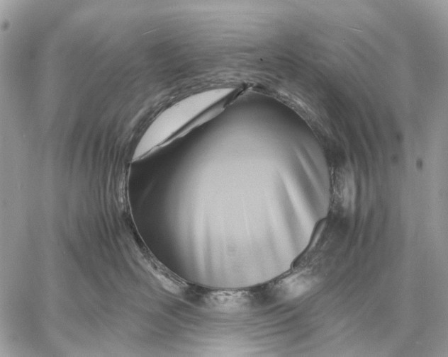 X0000057580526200510071612