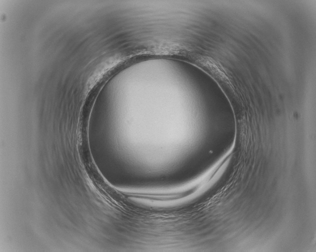 X0000057580536200510071612