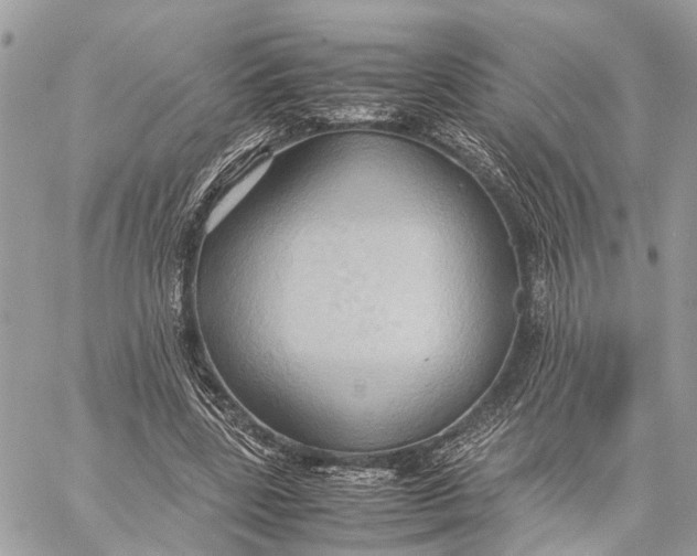 X0000057580539200510071612