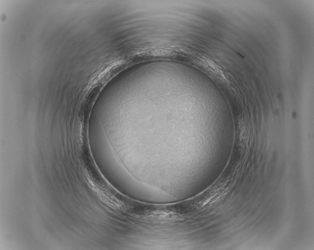 X0000057580542200510071612