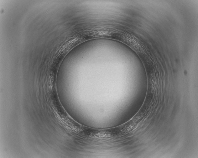 X0000057580546200510071612