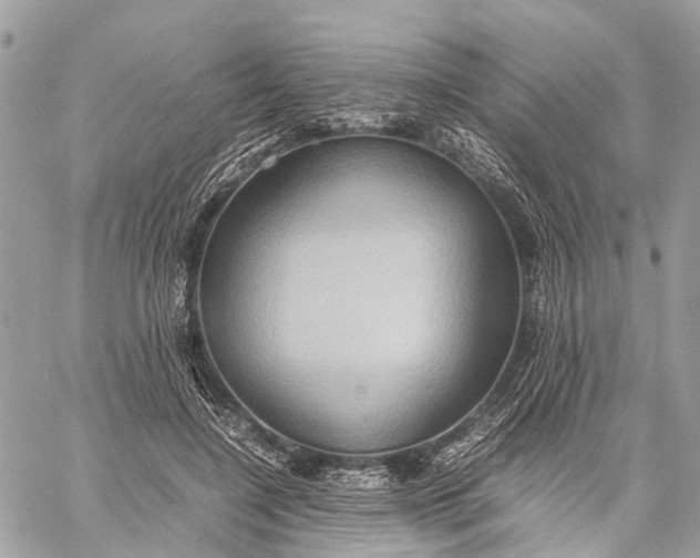 X0000057580548200510071612