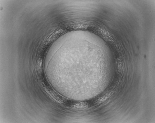 X0000057580550200510071612