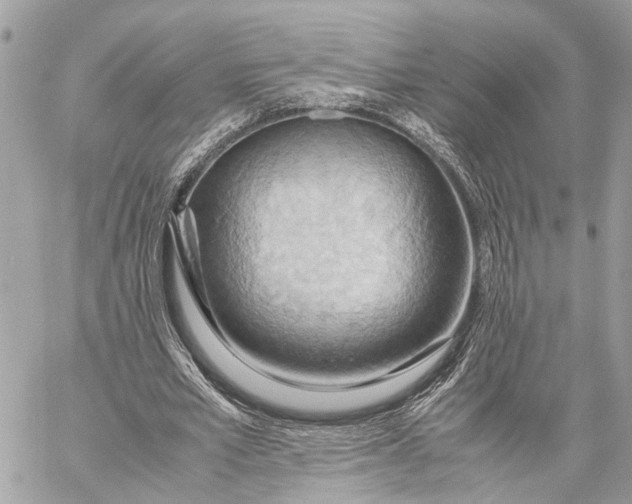 X0000057580581200510071611
