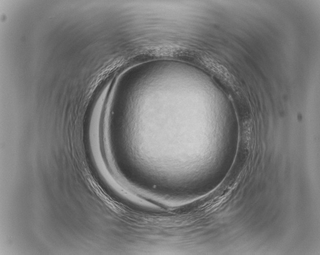 X0000057580589200510071611