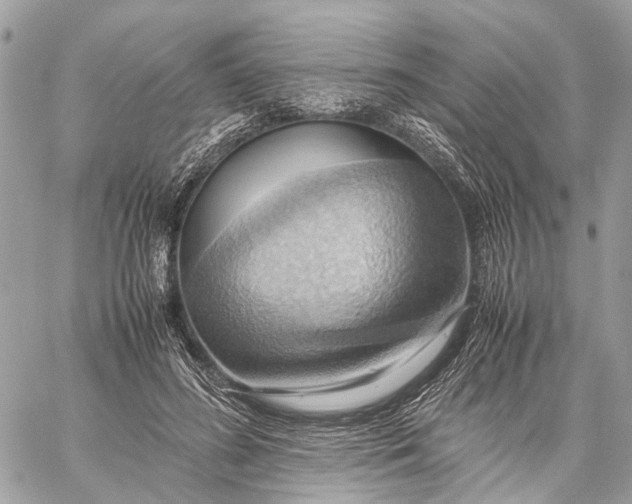 X0000057580596200510071611
