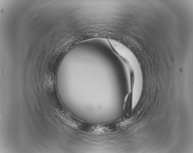 X0000057580607200510071611